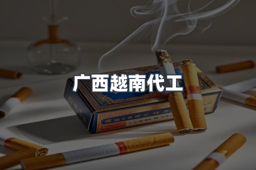 广西越南代工